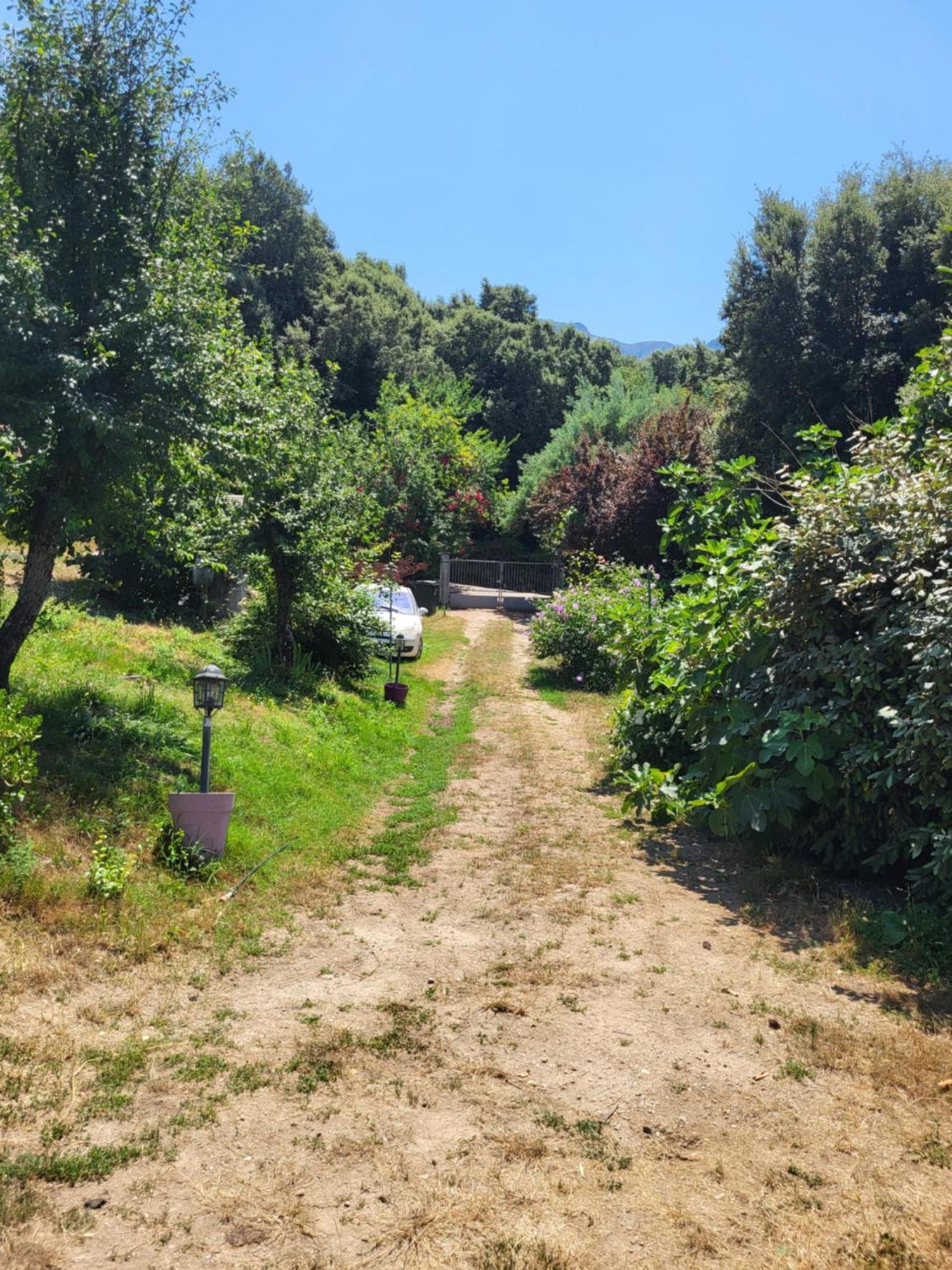 Studio A La Campagne Ucciani Buitenkant foto